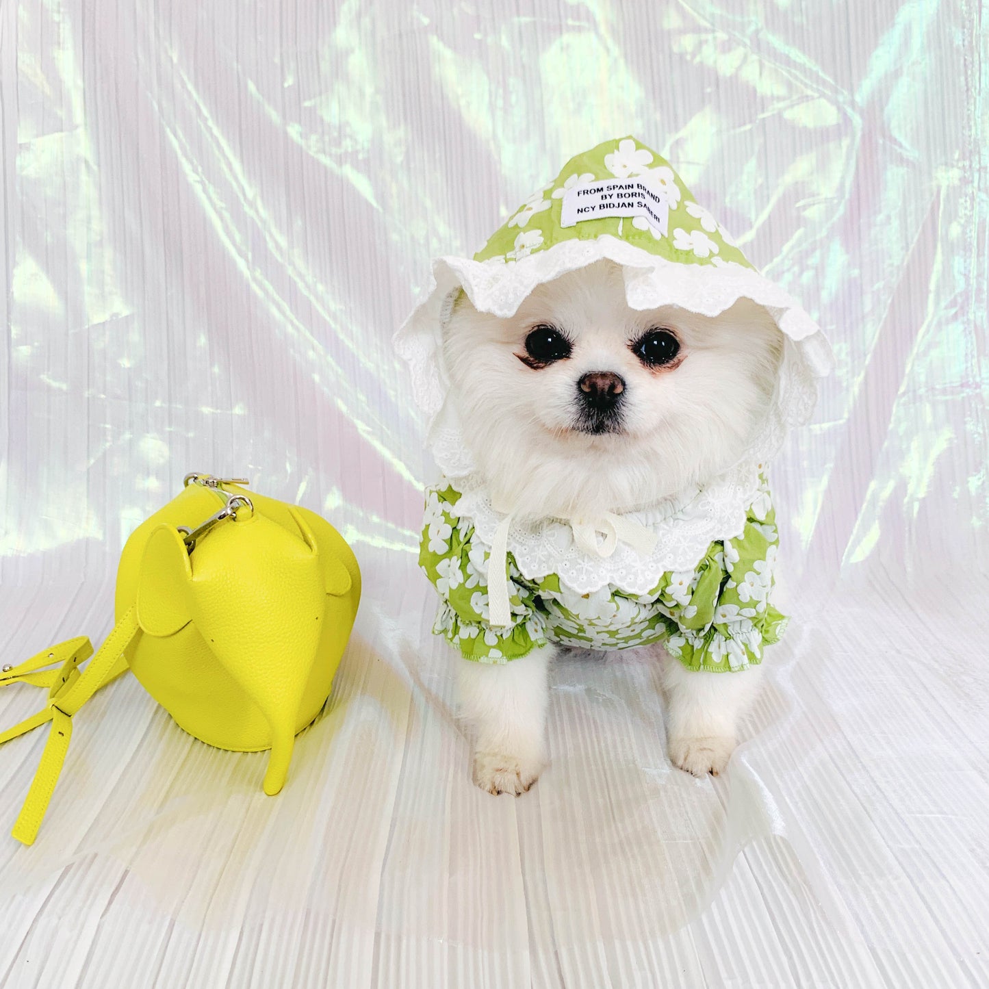 Summer Floral Pet Dress